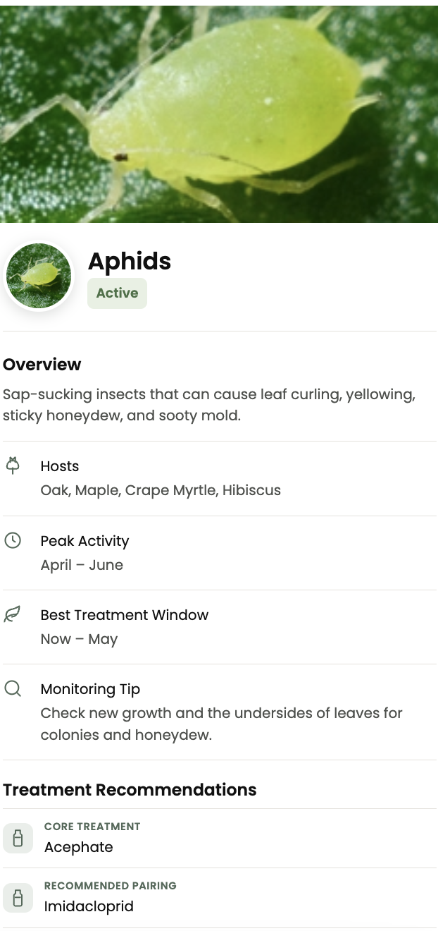 PHC Pro aphid details and treatment recommendations